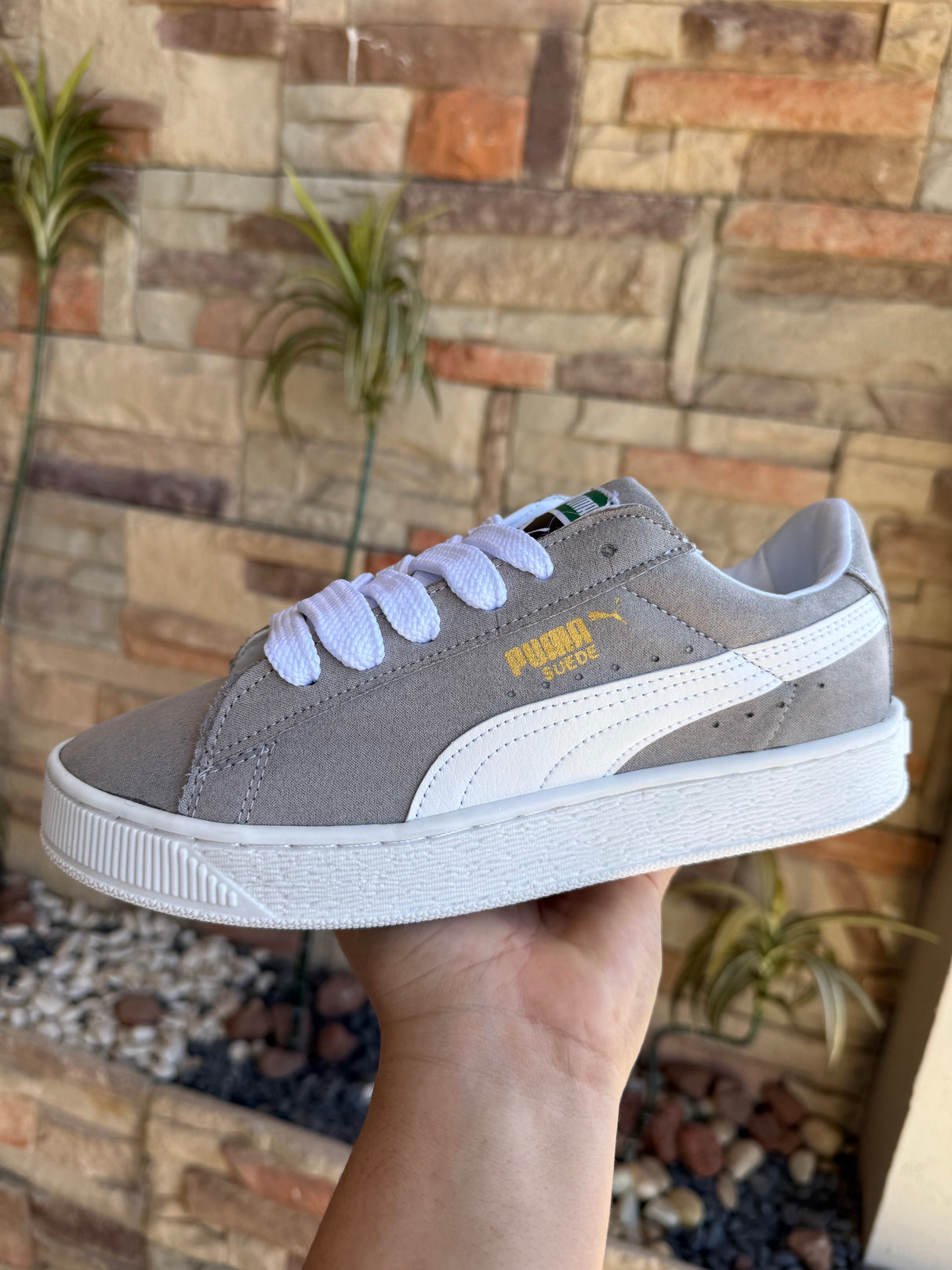 SUEDE GRIS BLANCO